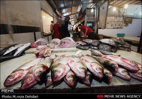 بازار ماهی فروشی آبادان